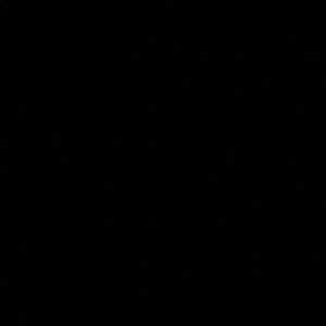 Meet your Posher, Simone